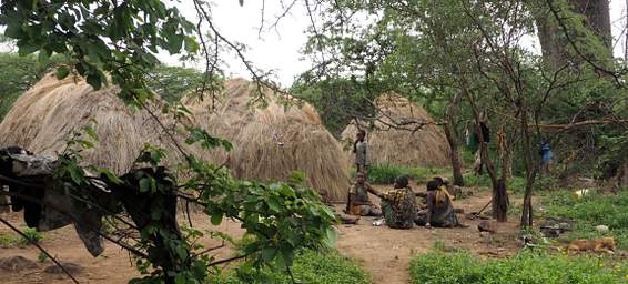 Hadza Camp