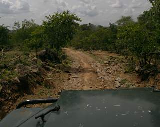 Typical Road