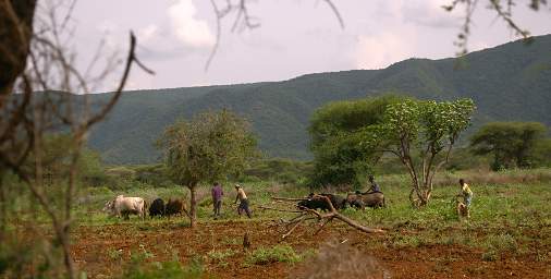 Plowing