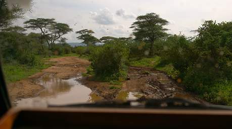 Road After Rain