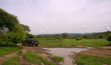 Road After Rain