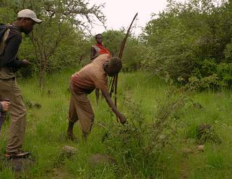 Jackson Explaining Bush Use