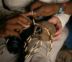 Baobab Gourd WPorcupine AGrass Tubes