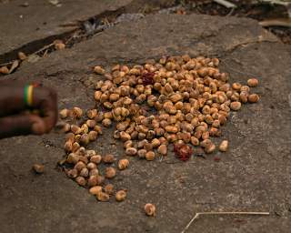 Seeds To Be Ground