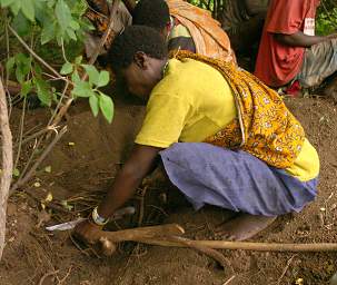 Cutting Off Roots