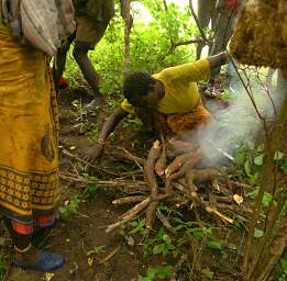 Roasting Roots