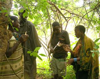 Cutting Up Root