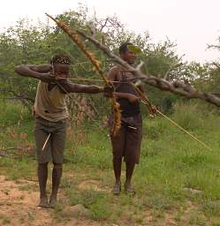 Archery Competition