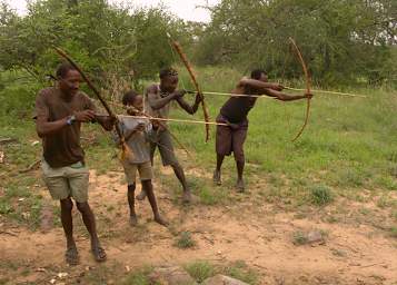 Archery Competition