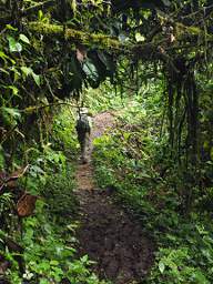 Copalinga Trail Gary
