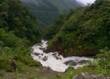 Copalinga Creek