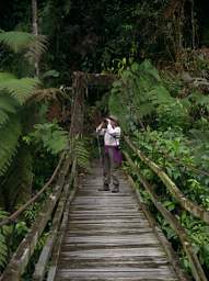 Copalinga Bridge Dona