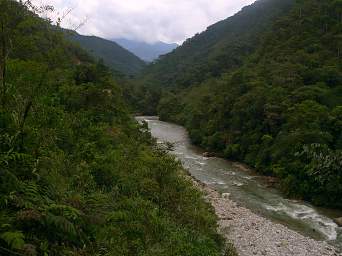 Copalinga Bombuscaro R