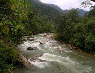 Copalinga Bombuscaro R