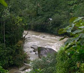 Copalinga Bombuscaro R Bridge
