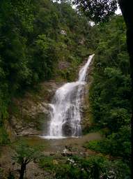 Copalinga Podocarpus Park Waterfall