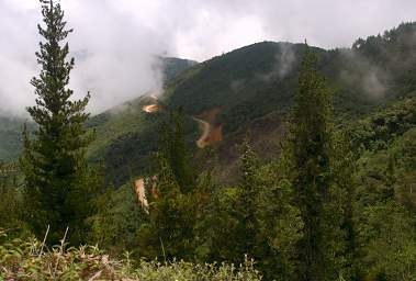Jorupe