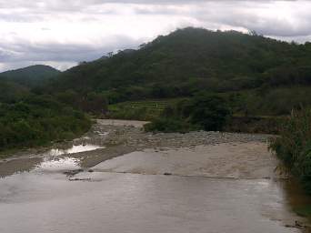 Macara R