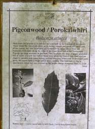 Whanganui R Bushy Park Pigeonwood Porokaiwhiri Sign