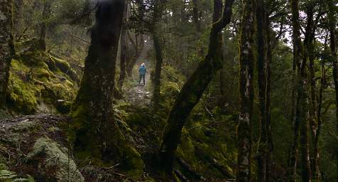 Haast Pass