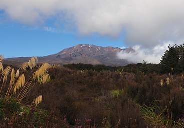 Tongariro Mt Ruapehu