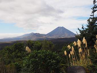 Tongariro Mt. Ngauruhoe