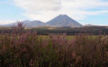 Tongariro Mt. Ngauruhoe