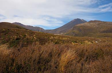 Tongariro Mt. Ngauruhoe