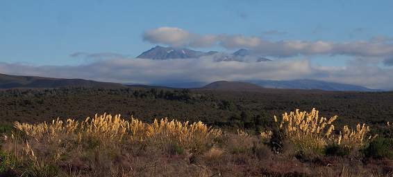 Tongariro Mt. Ruapehu