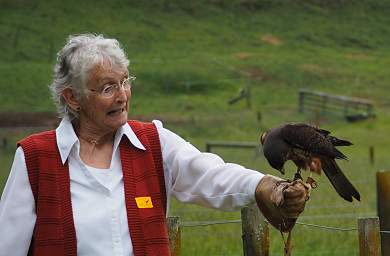Rotorua Wingspan New Zealand Falcon Worried Woman