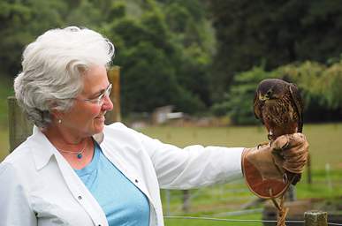 Rotorua Wingspan New Zealand Falcon Dona