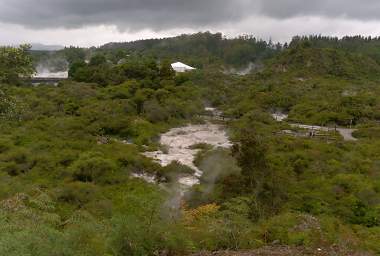 Rotorua Whakarewarewa Mudpots