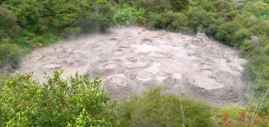Rotorua Whakarewarewa Mudpot