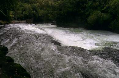 Rotorua Kaituna R