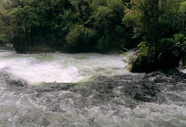 Rotorua Kaituna R