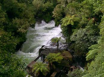 Rotorua Kaituna R