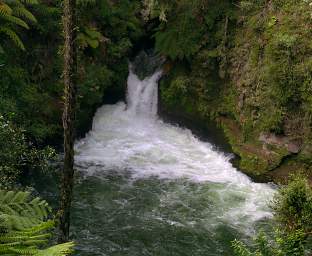 Rotorua Kaituna R