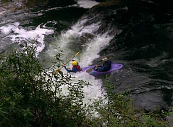 Rotorua Kaituna R Kayak Brad