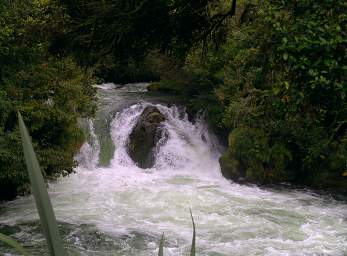 Rotorua Kaituna R