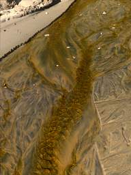 Stewart Is Ulva Is Water Sand