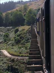 Otago RT On Trestle