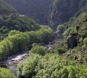 Otago RT Taieri Gorge