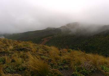 Tongariro