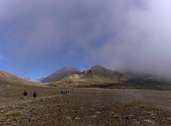 Tongariro People