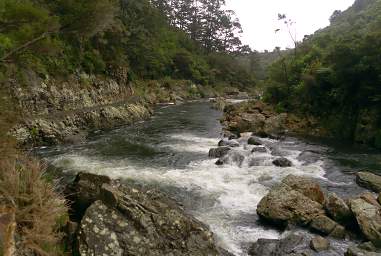 Waihi RT Karangahake Gorge