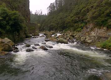 Waihi RT Karangahake Gorge