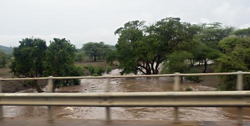 Walk Safari High Water