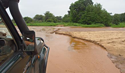Walk Safari High Water