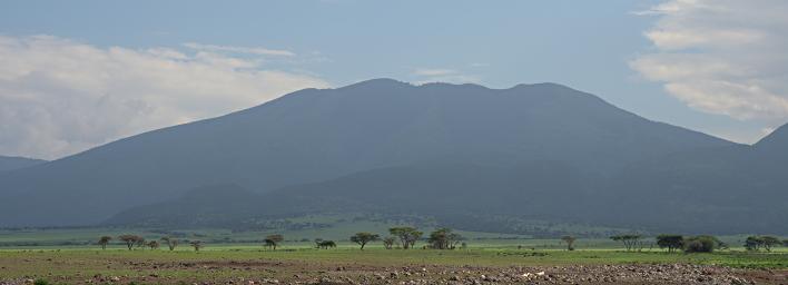 Walk Safari