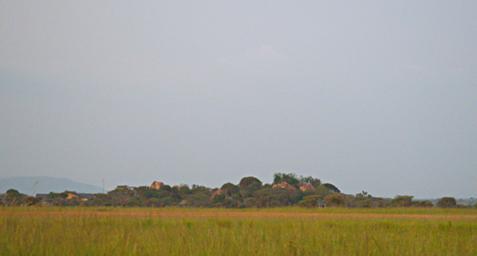 Walk Safari Ranger Station